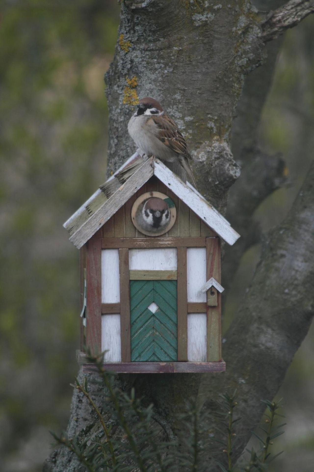 Lilla Huset Pa Slaetten B&B Lund Dış mekan fotoğraf