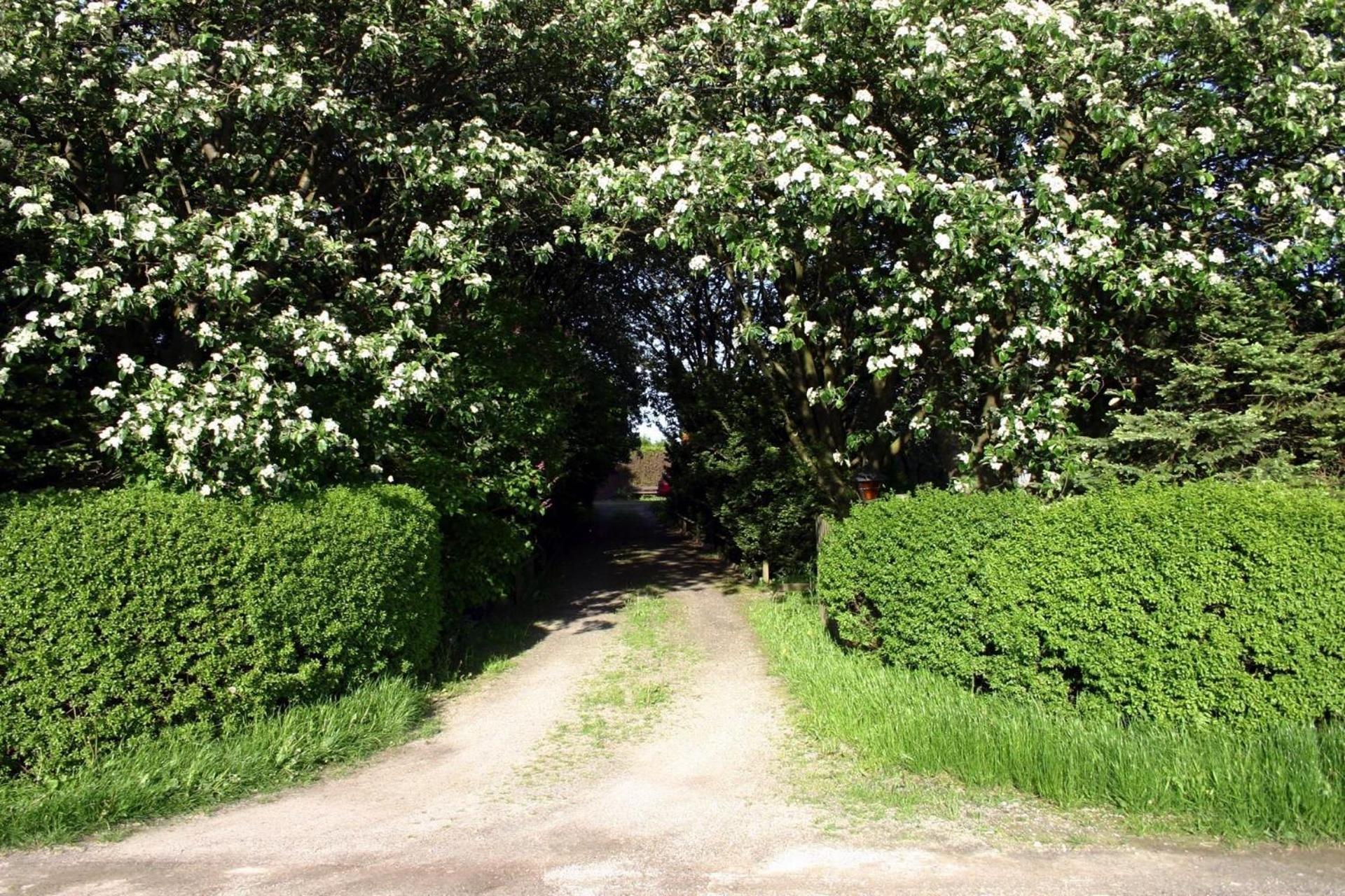 Lilla Huset Pa Slaetten B&B Lund Dış mekan fotoğraf