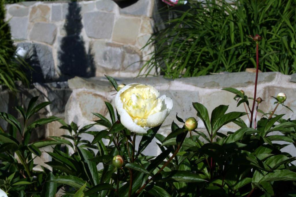 Lilla Huset Pa Slaetten B&B Lund Dış mekan fotoğraf