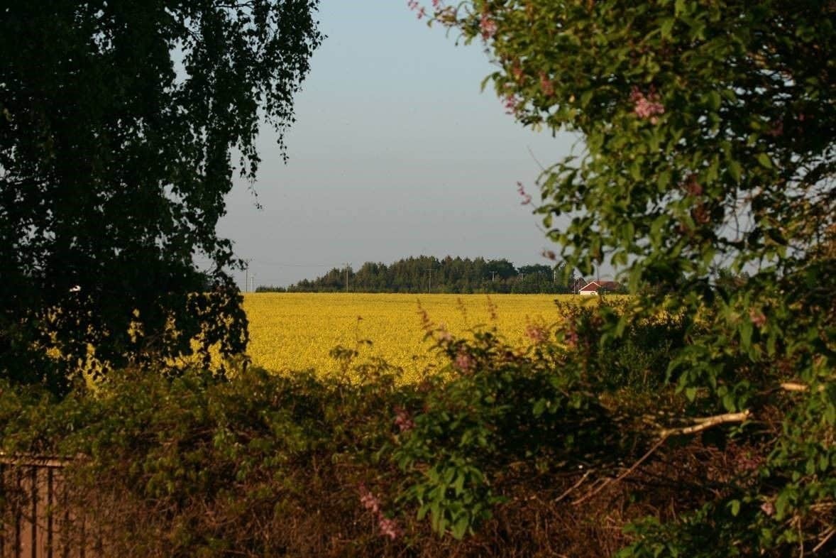 Lilla Huset Pa Slaetten B&B Lund Dış mekan fotoğraf
